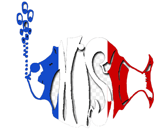 Phish logo french flag