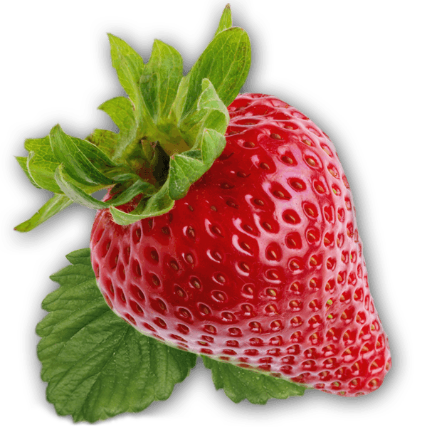Large Isolated Strawberry