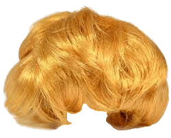 Trump Wig