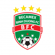 Binh Dinh FC