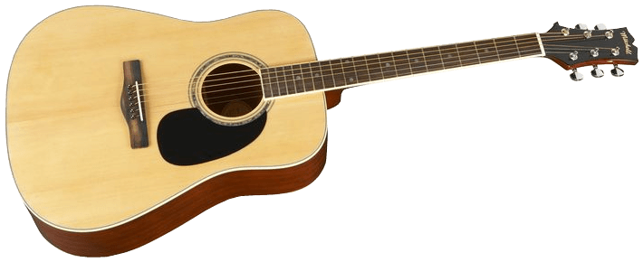 Acoustic Guitar