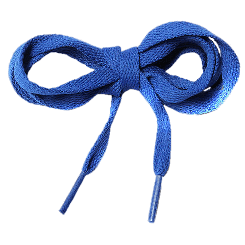 Blue Shoe Laces Tied In A Bow