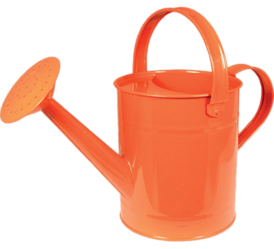 Orange Watering Can