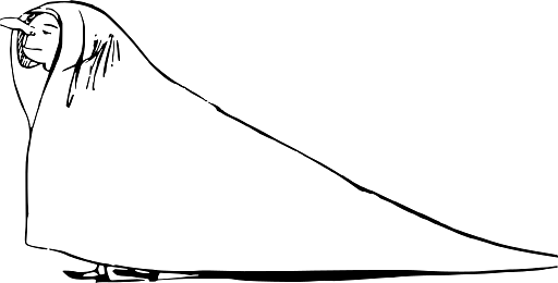 Edward Lear Drawing Long Cloak