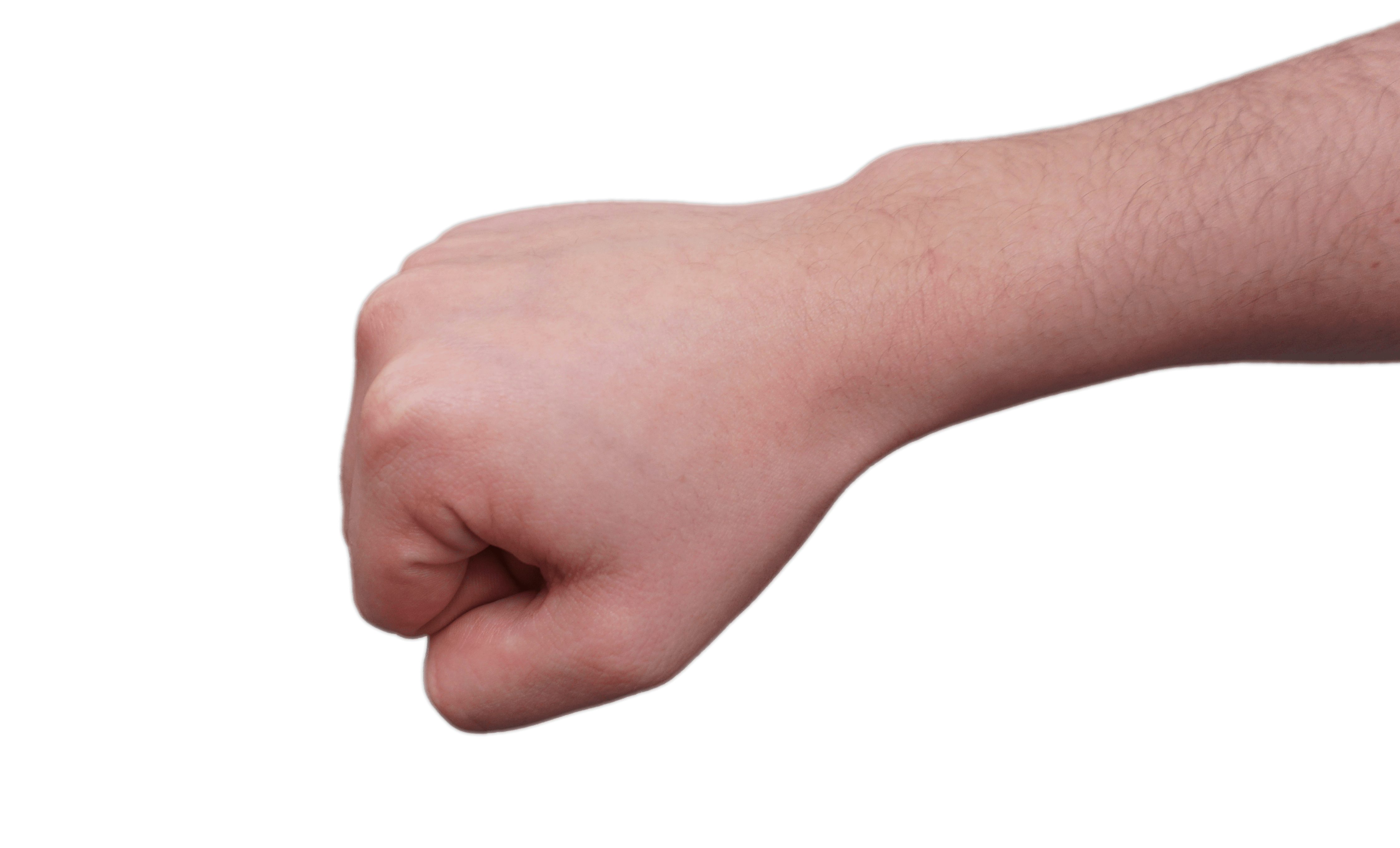 Clenched Fist and Forearm