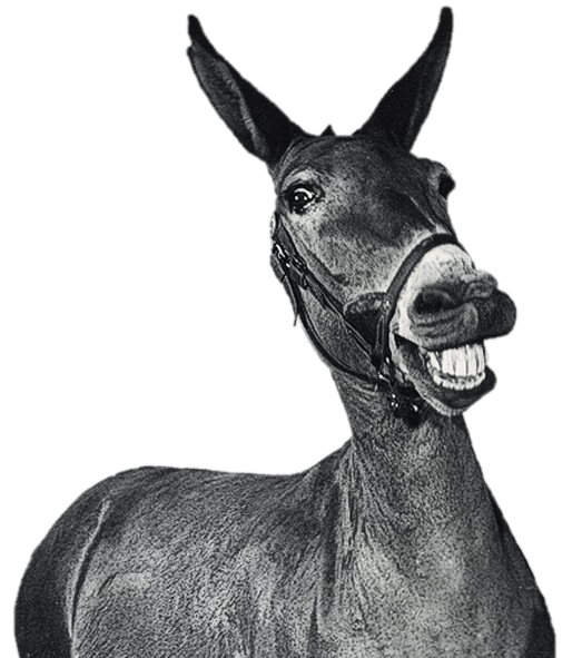 Laughing Mule Black and White