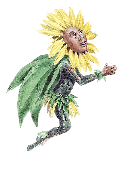 Sunflower Character