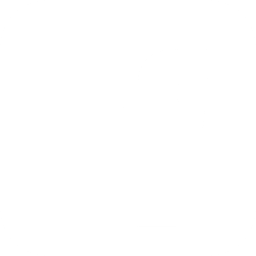 White Facebook Logo Icon