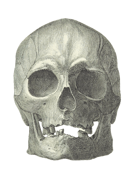 Danish Kai Likké Damaged Skull