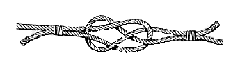 Carrick Bend Knot Drawing