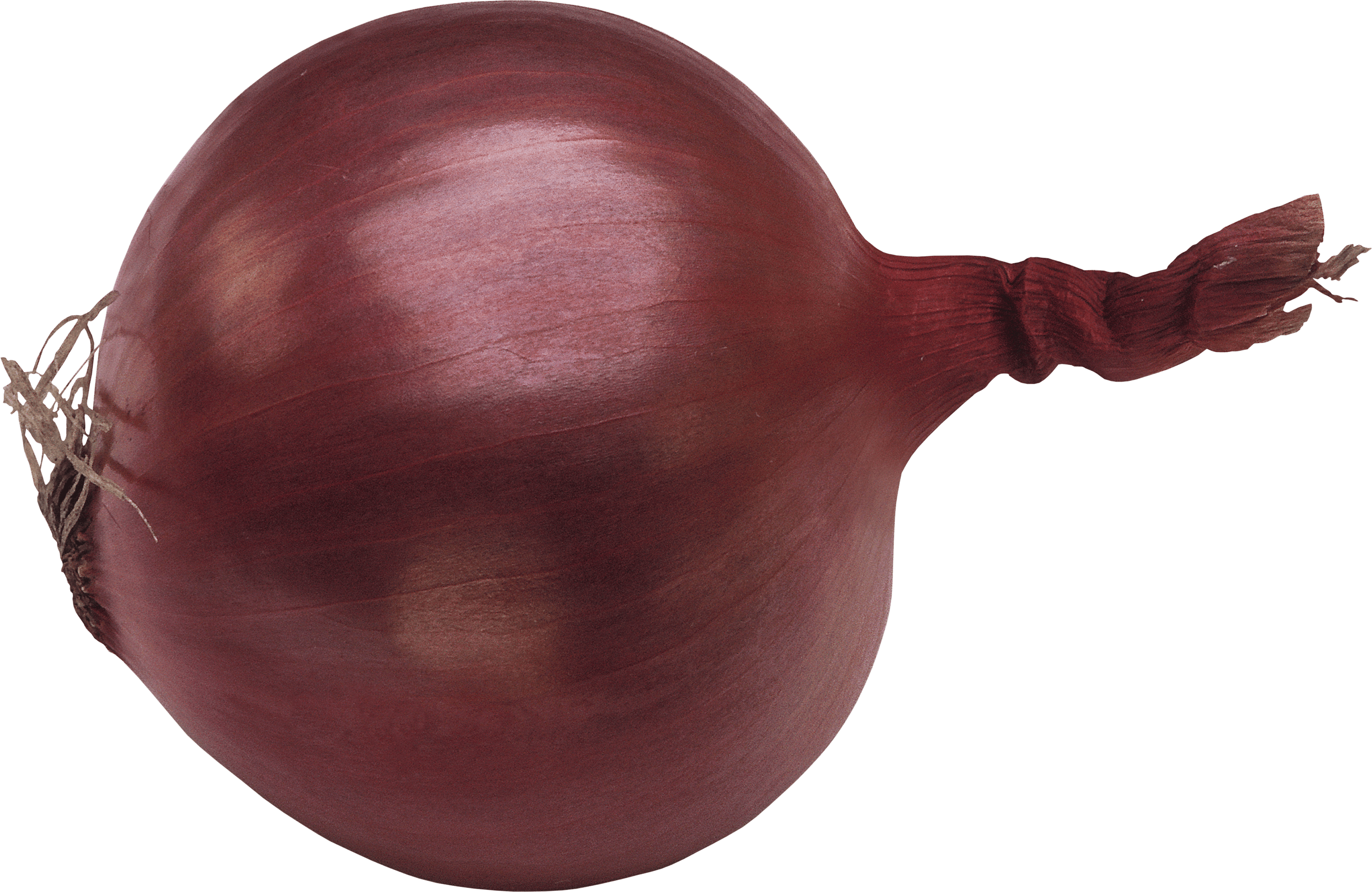 Red Onion