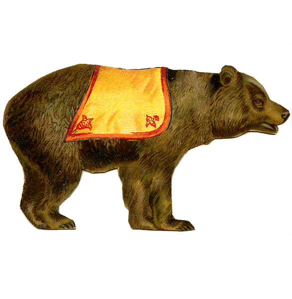 Circus Bear