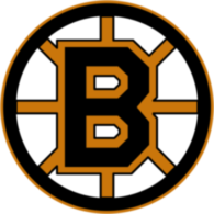 Boston Bruins 76875