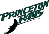 Princeton Devil Rays