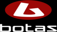 Botas