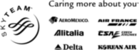 SkyTeam