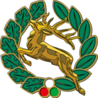 Nimrod Vadászjelvény