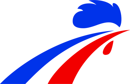 France National Ice Hockey Team