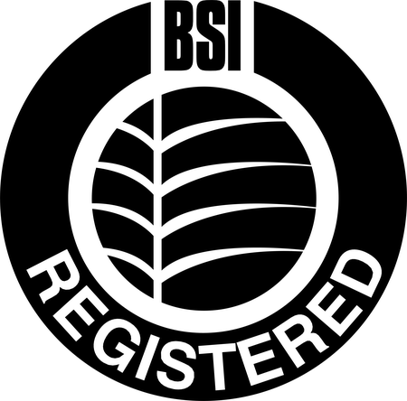 Bsi