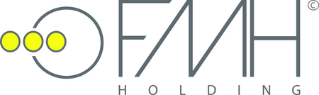 Fmh Holding