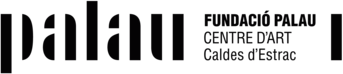 fundacio palau