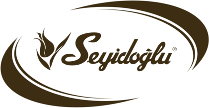 Seyidoglu