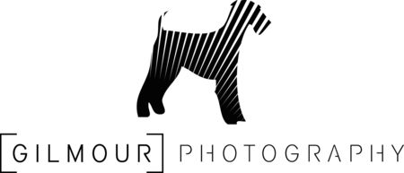 Brett Gilmour Photography