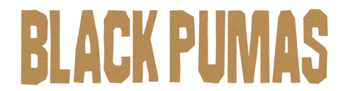 Black Pumas 