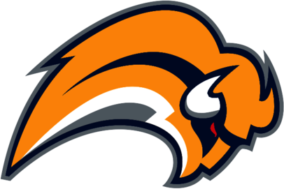 Buffalo Sabres
