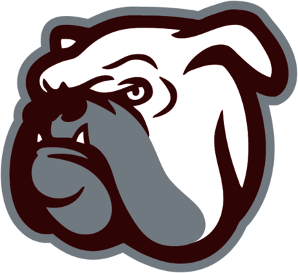 Mississippi State Bulldogs