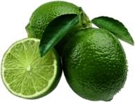 Lime Close Up