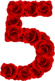 Red Roses Five Number