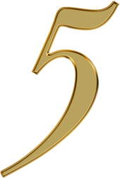 Number 5 Golden