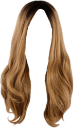 Wig Blond Long