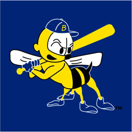 Burlington Bees