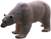 Polar Bear Plastic Model