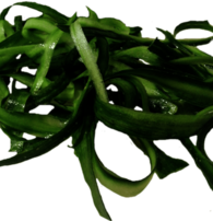 Cucumber Peels