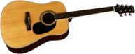 Acoustic Guitar