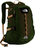 The Northface Green Backpack