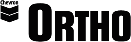 Ortho