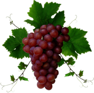 Red Grape With Leaves