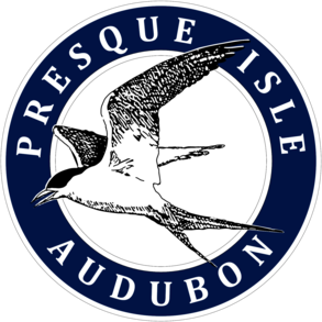 Presque Isle Audubon Erie
