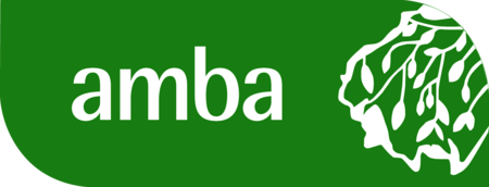 Amba Research