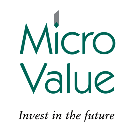Micro Value