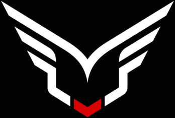 Felt Bicycles F Wing