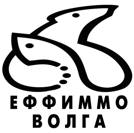 EffimmoVolga