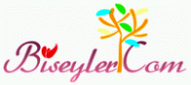 Biseyler