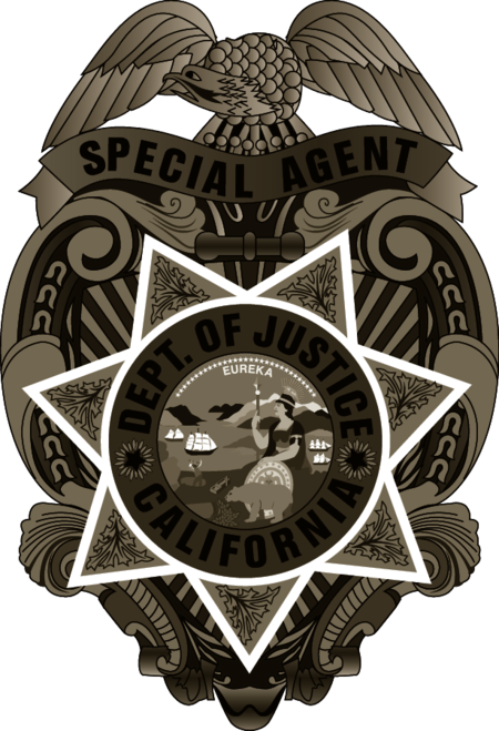 Special Agent Department of Justice