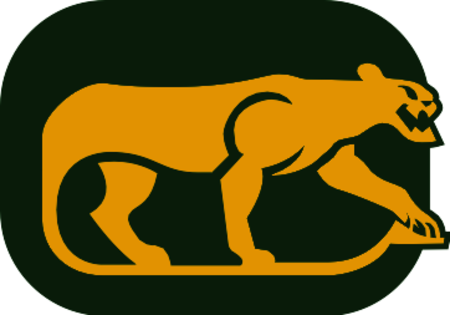 Chicago Cougars