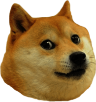 Doge Head Right